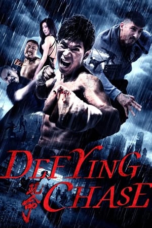 Defying Chase (2018) Hindi Dual Audio 480p HDRip 350MB