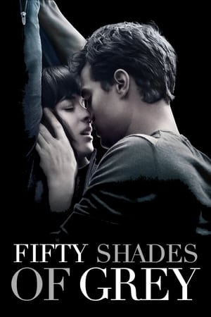 Fifty Shades of Grey 2015 Hindi Dual Audio 720p BluRay [1.1GB]