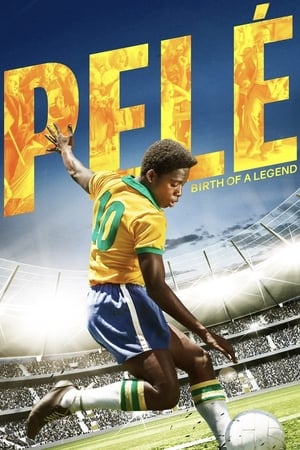 Pele Birth of a Legend (2016) Hindi Dual Audio 720p BluRay [900MB]