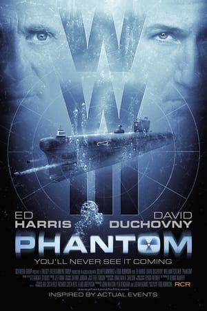 Phantom 2013 Hindi Dual Audio 480p BluRay 300MB