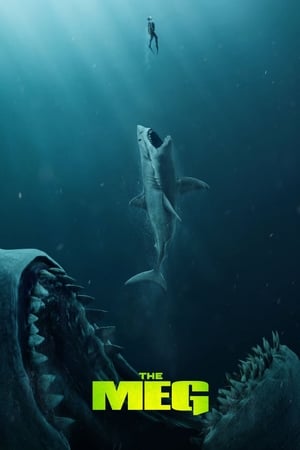 The Meg (2018) Hindi (Org) Dual Audio 480p BluRay 350MB